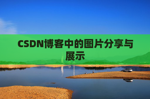 CSDN博客中的图片分享与展示